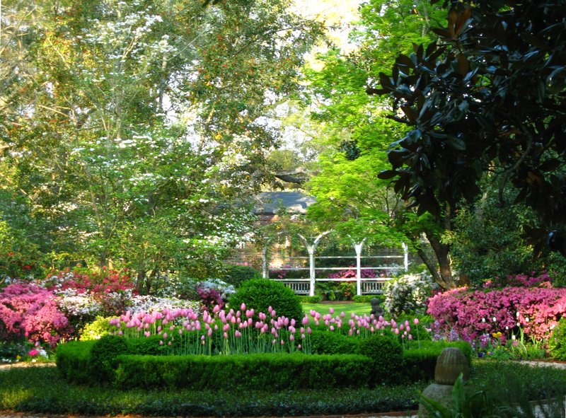 Andrew Pinckney Inn - Charleston, SC