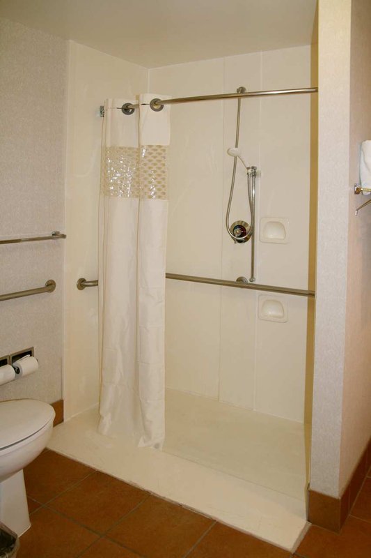 Hampton Inn-Eagle Pass - Eagle Pass, TX