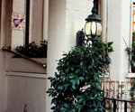 Henley House