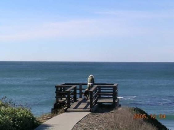 The Dolphin Inn - Cayucos, CA