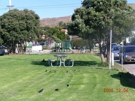 The Dolphin Inn - Cayucos, CA