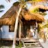 La Zebra Beach Cantina y Cabanas