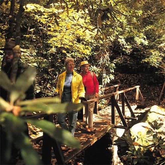 Pine Mountain State Resort - Pineville, KY