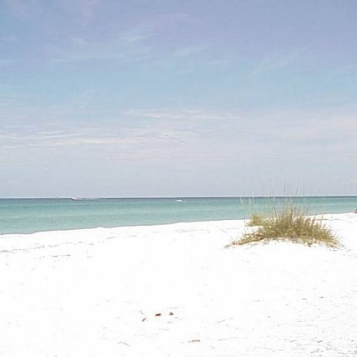 Seashells Of Sanibel - Sanibel, FL
