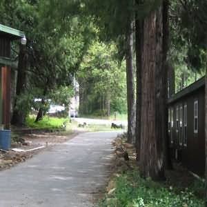 Strawberry Valley Inn - Mount Shasta, CA