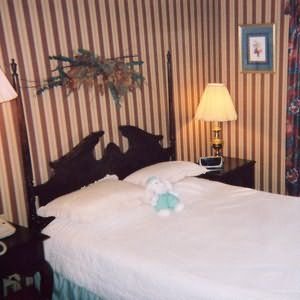 The Village Haven - Clarence, NY