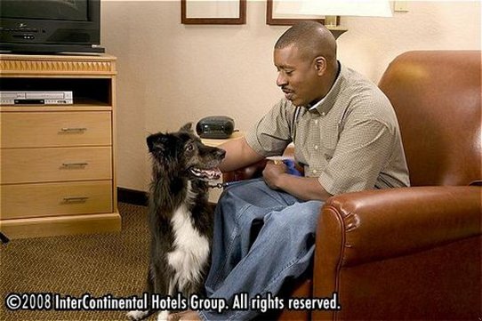 Candlewood Suites Pearl - Pearl, MS