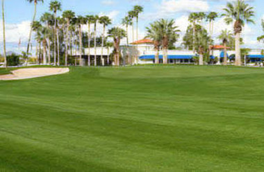 Arizona Golf Resort - Mesa, AZ
