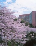 Four Seasons Hotel Tokyo at Chinzan-so