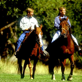 Homestead Resort - Midway, UT