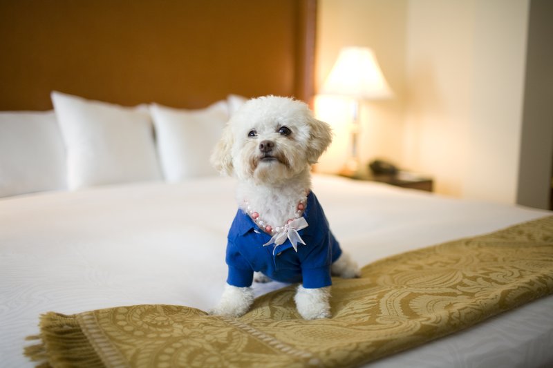Hotel Vintage - Portland, OR