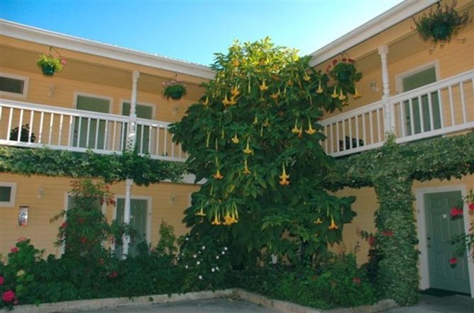 Creekside Inn