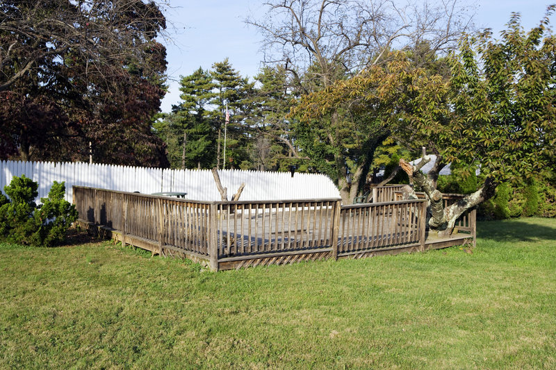 Americas Best Value Inn - Winchester, VA