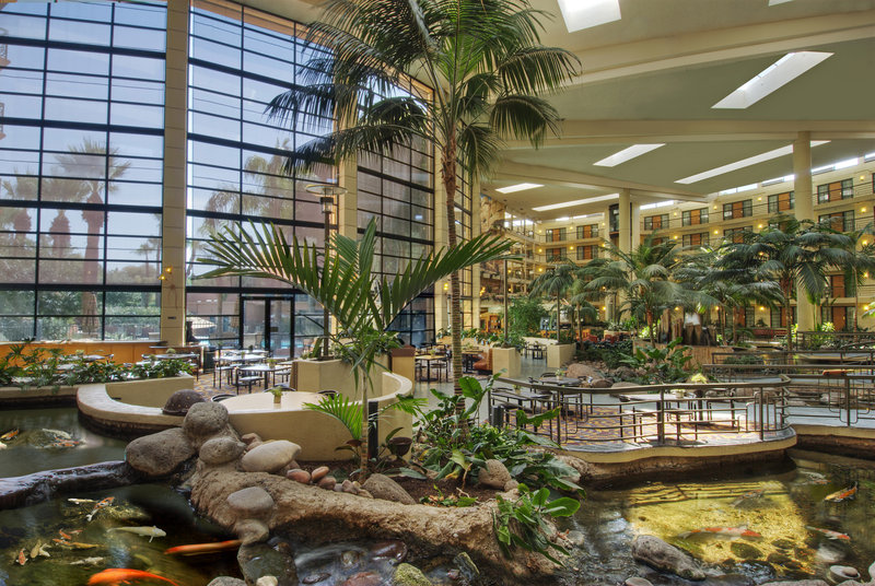 Embassy Suites Phoenix Biltmore