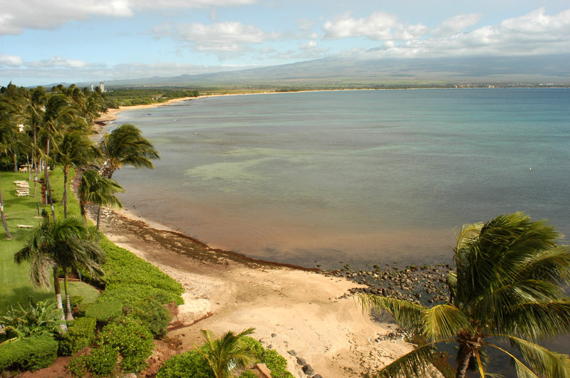 Island Sands Condominium - Wailuku, HI