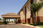 Pear Tree Inn by Drury McAllen