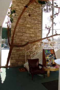 Bevonshire Lodge Motel - Lobby