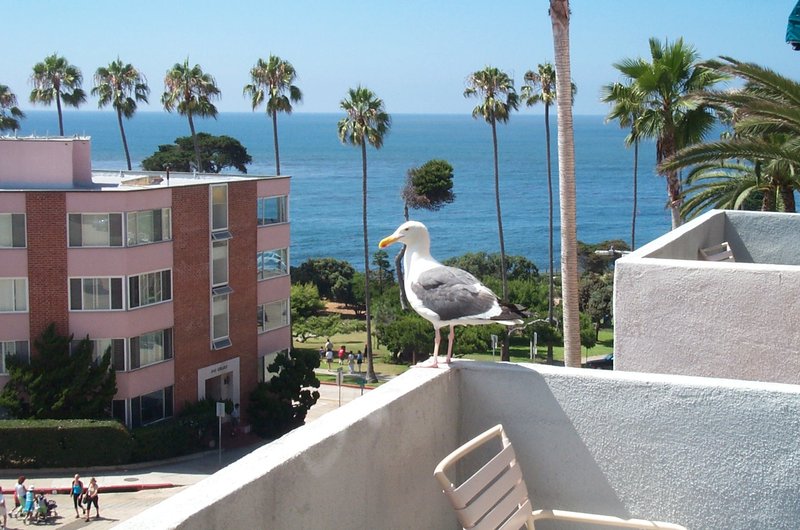 La Jolla Inn La Jolla Hotels - La Jolla, CA