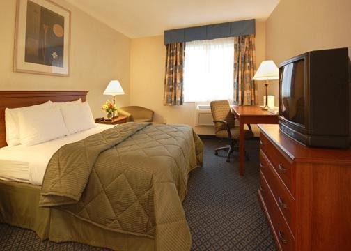 Comfort Inn - Hadley, MA