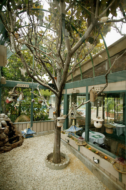 Best Western Plus-Encina Lodge - Santa Barbara, CA