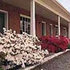Bassett Motel