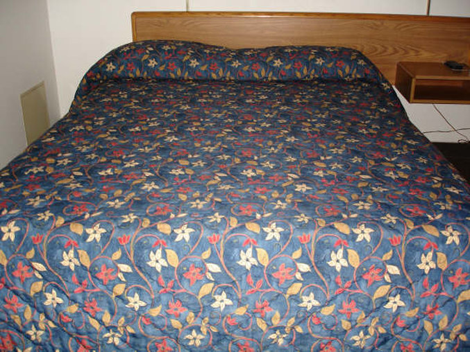 Econo Lodge - Shakopee, MN