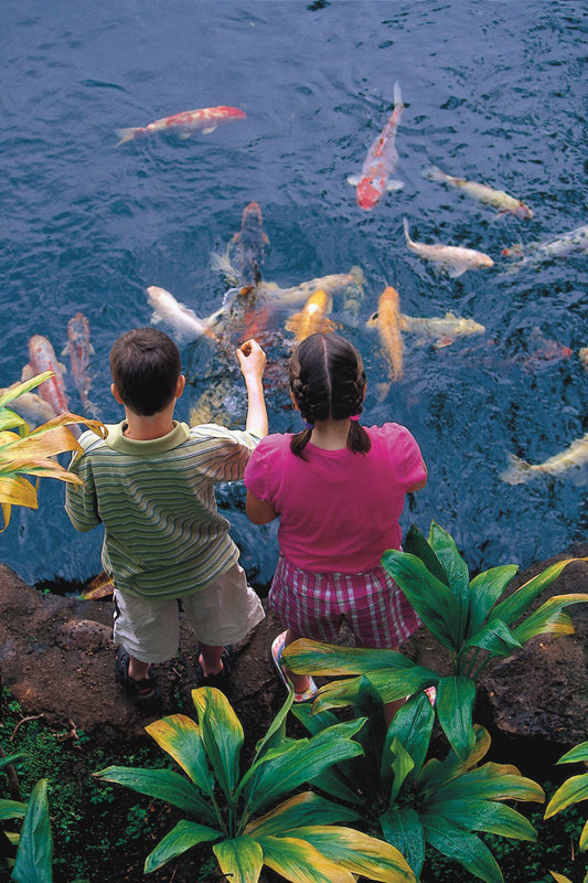 Four Seasons Resort Lanai - Lanai City, HI