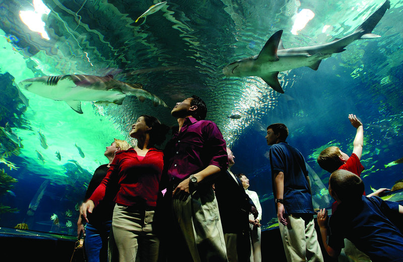 Holiday Inn-Cincinnati - Covington, KY