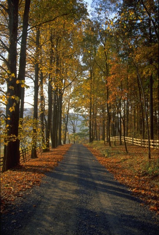 Hampton Inn Dulles/Cascades - Sterling, VA