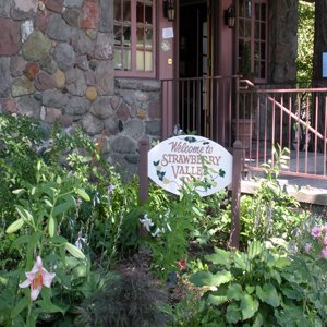 Strawberry Valley Inn - Mount Shasta, CA