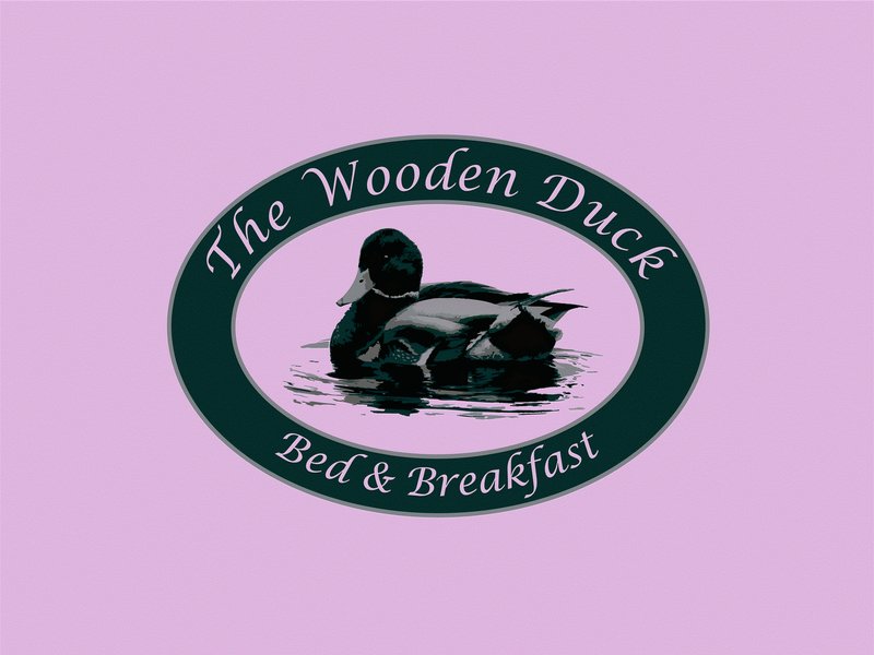 Wooden Duck - Newton, NJ