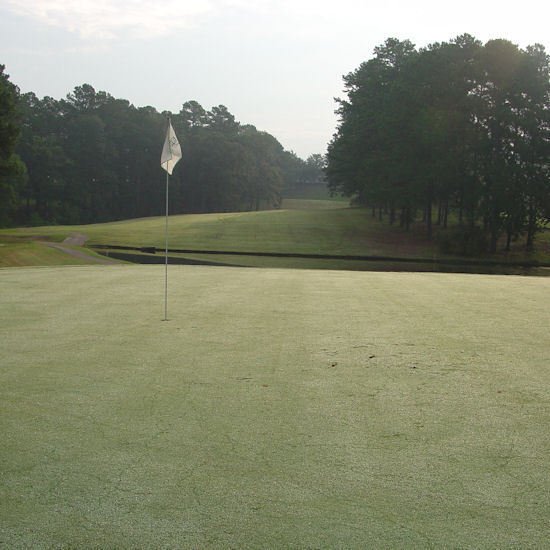 Emerald Hills Golf Resort - Florien, LA