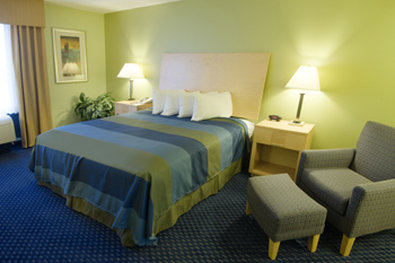 Holiday Inn Express & Suites ALBANY - Albany, GA