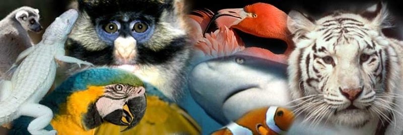 Quality Inn-The Sun - Surprise, AZ