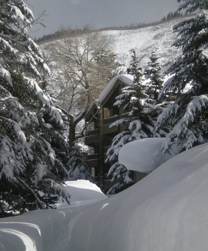 The Gant - Aspen, CO