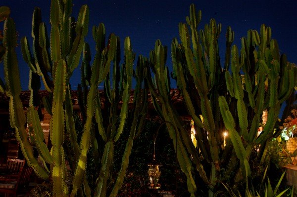 ESTANCIA LA JOLLA HOTEL & SPA - La Jolla, CA