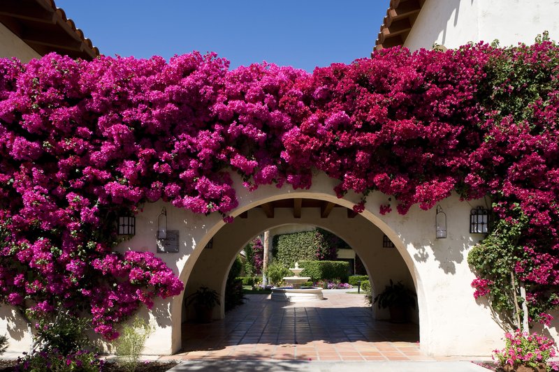 Miramonte Resort And Spa Destination Hotels & Resorts - Indian Wells, CA