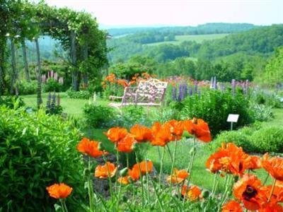 Berry Hill Gardens Bed and Breakfast - Bainbridge, NY