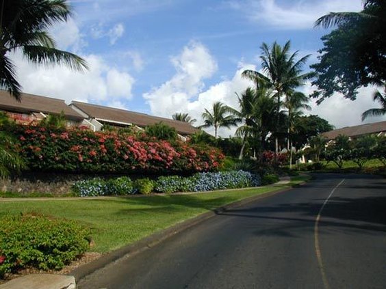 Maui Kamaole Assn-Homeowners