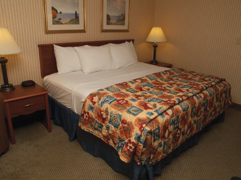 Holiday Inn Express ROMULUS / DETROIT AIRPORT - Romulus, MI