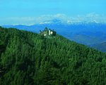 Wildflower Hall an Oberoi Resort