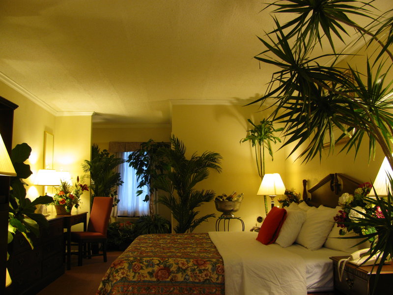 Bedford Plaza Hotel - Bedford, MA