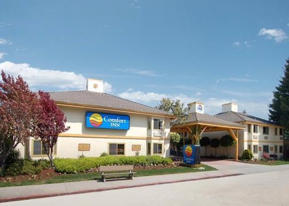 Comfort Inn Airport South