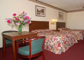 Monsoon Inn - Room