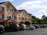 Super 8 Motel St Pete/Clearwater Airport