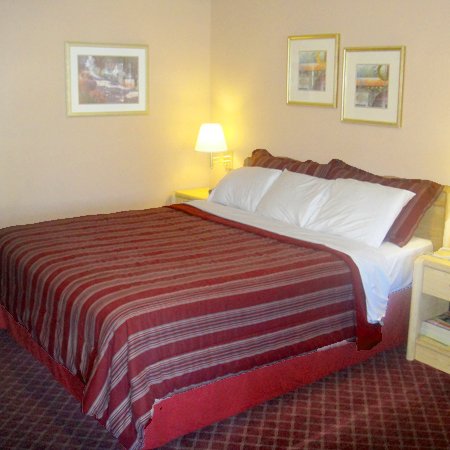 Muir Lodge Motel - Martinez, CA