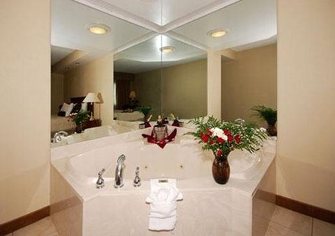 Clarion Hotel Detroit Metro Airport - Romulus, MI