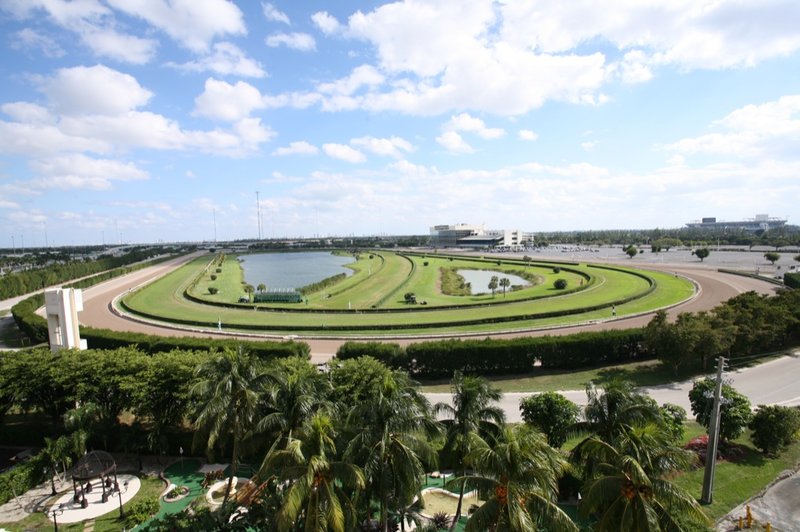 EL PALACIO SPORTS HOTEL - Opa Locka, FL