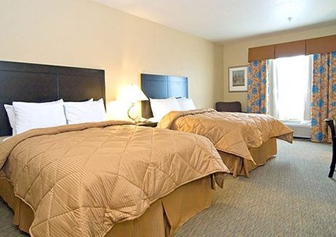 Comfort Inn & Suites Selma - Schertz, TX