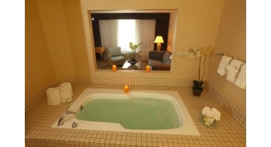 Airtel Plaza Hotel & Conference Center - Van Nuys, CA